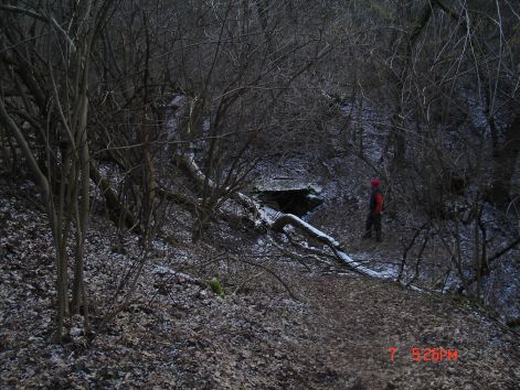 egyesulet_002.jpg